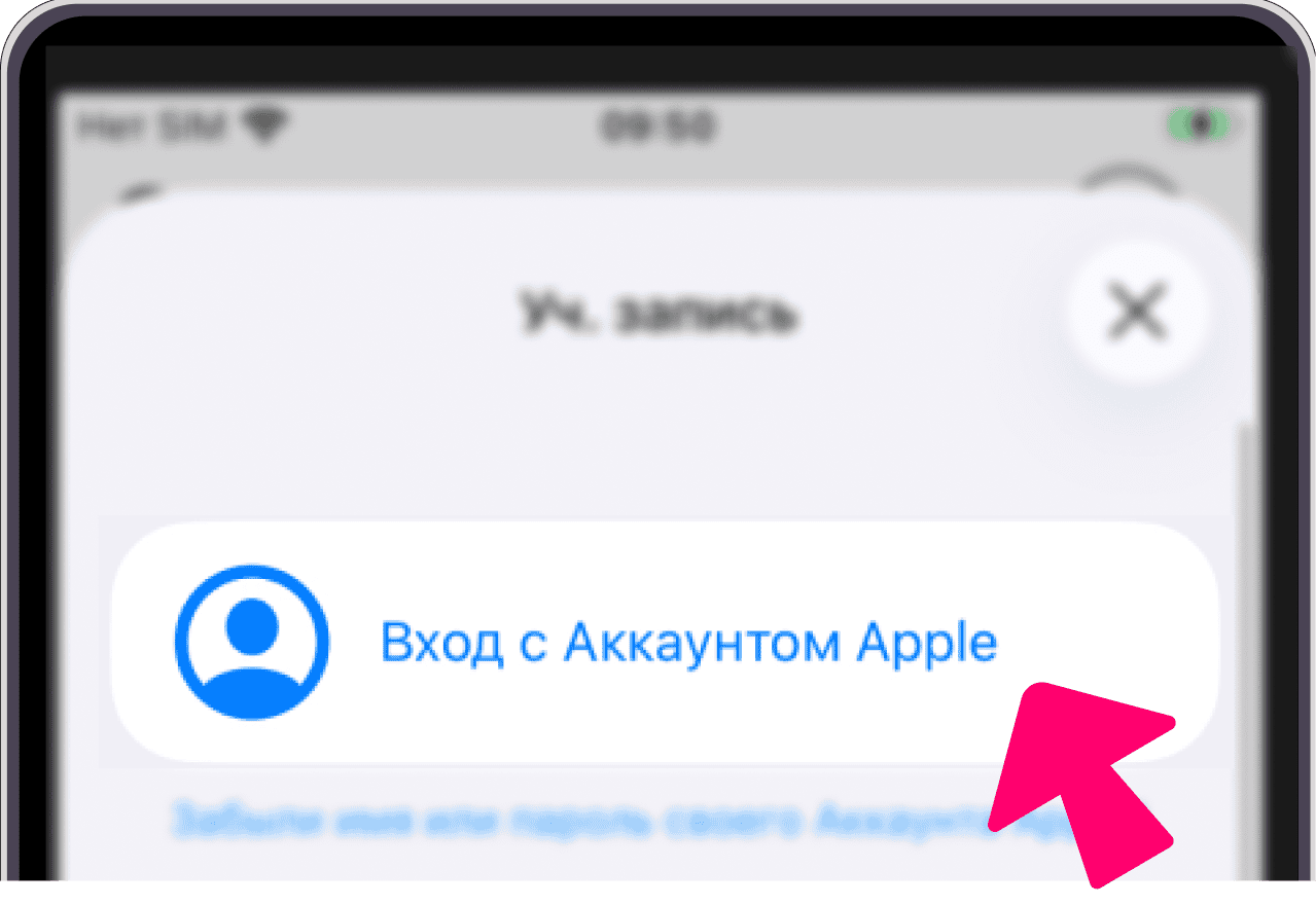 Кнопка входа в Apple ID